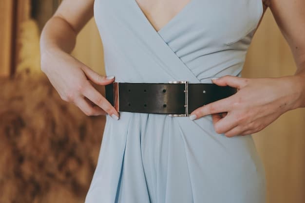 Close-up shot of a woman's waist, showcasing a stylish belt that cinches her dress, highlighting her figure. The belt has a distinctive buckle and complements the overall color palette of the dress.